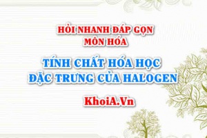 Tính chất hóa học đặc trưng của Halogen (các đơn chất halogen) là gì? Hỏi nhanh đáp gọn môn Hóa